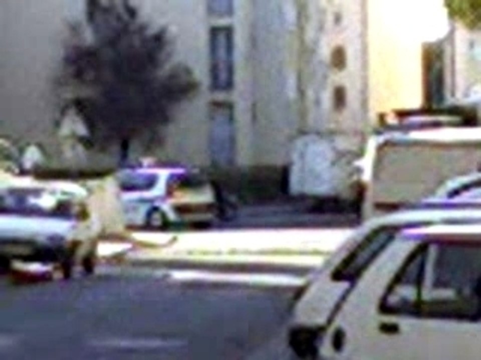 le veau en crosss!!tkktt!!