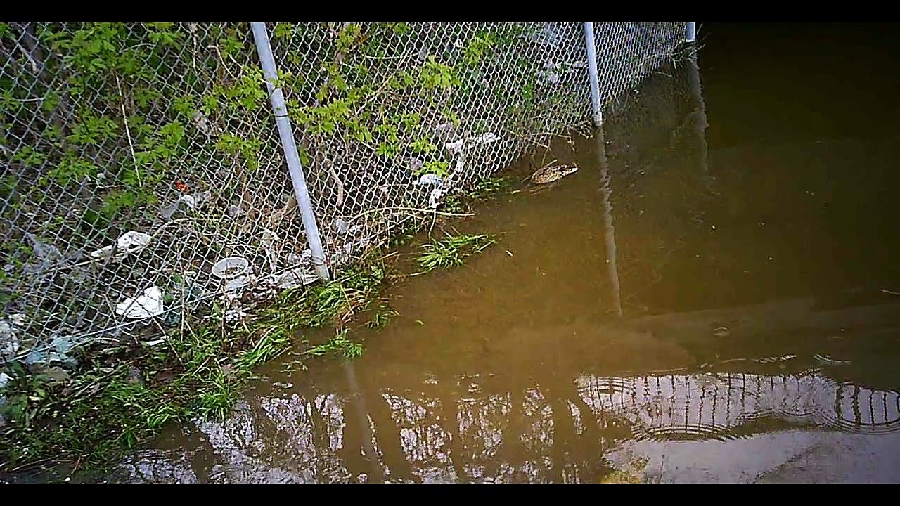 Quebec flooding 2017