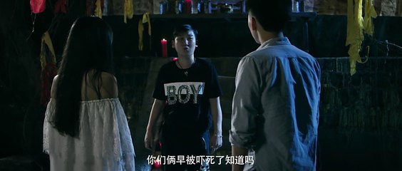 重生之龙族圣女 2017-2