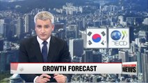 OECD retains 2.6% growth outlook for South Korea in 2017, cuts 2018 forecast