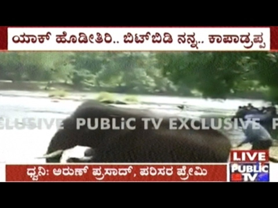Madikeri: Mahouts In Dubbare Elephant Camp Beat Young Elephant As It Cries Out