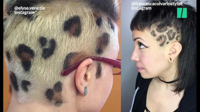 Alerte! Après les arc-en-ciel, les tâches léopards prennent les cheveux d'assaut