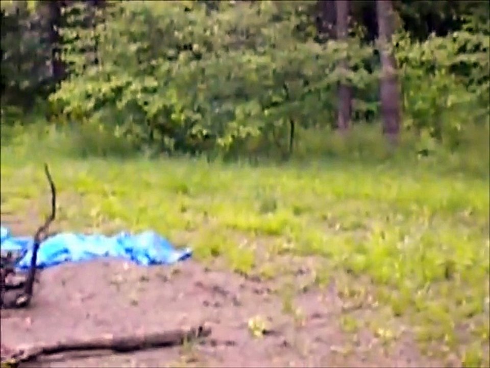Real Ghosts Caught On Tape 5 (Part 1)