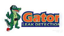 Gator Leak Detection - Low Cost Pool Leak Detection Company