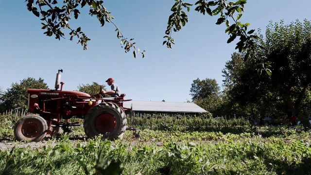 WestCoastFood Canada's West Coast Destination for Foodies