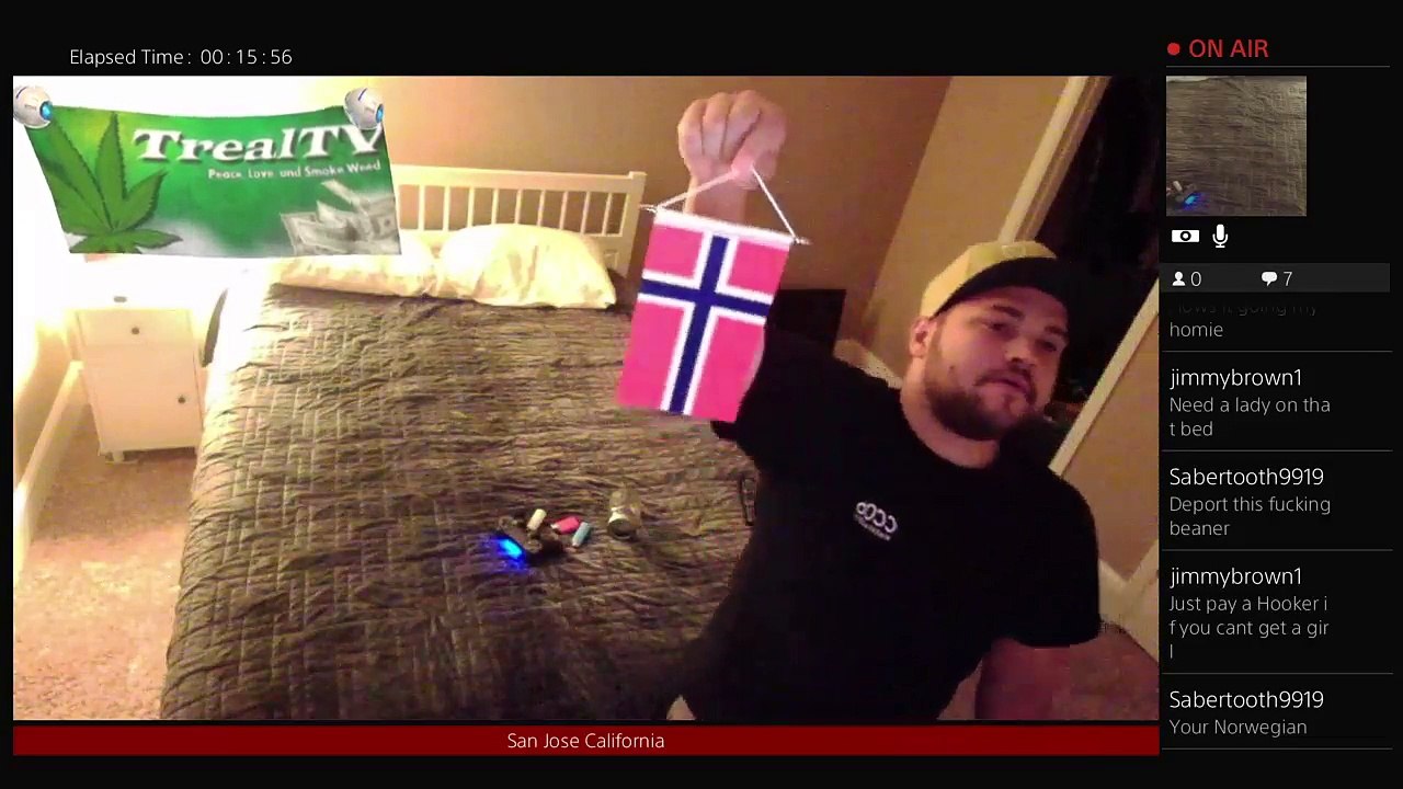 TrealTELEVISION (262)