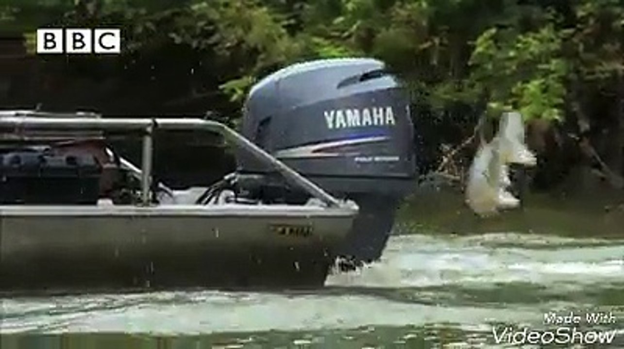 Fishing without trying