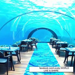 Underwater Restaurant In Hurawalhi , Maldives