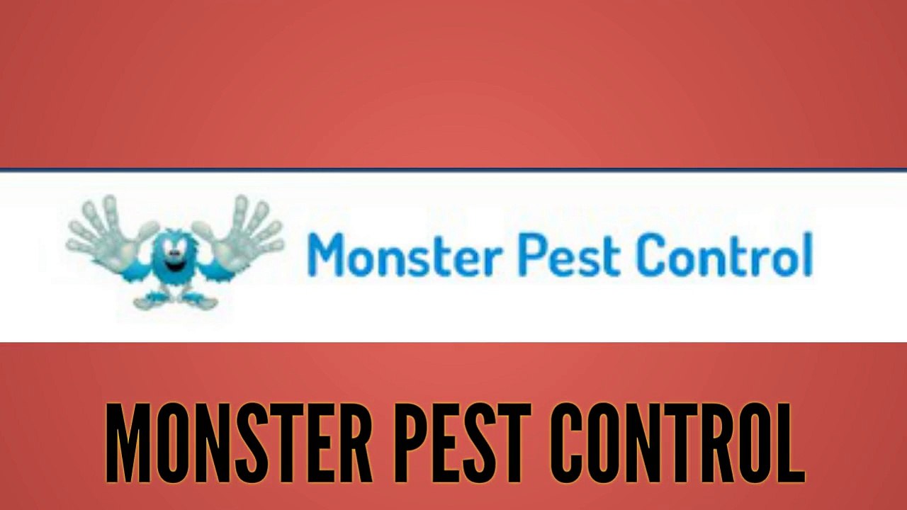 Termite Control Miami - MONSTER PEST CONTROL (786) 488-7235