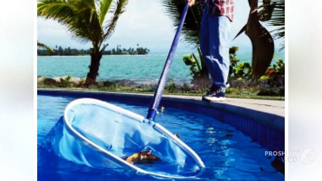Tobia Pool Care LLC - Reputed Pool Cleaning Company in Palm Beach