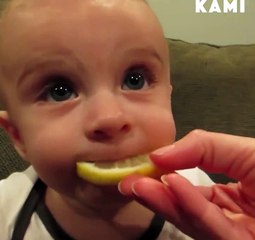 Baby Eat Lemon Very Laughing Video