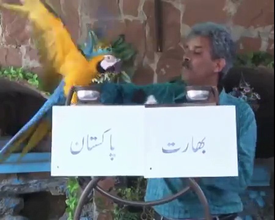 Ameen Hafeez