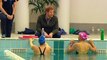Cheery Prince Harry bonds with injured veterans training for Invictus Games