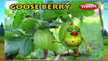 Goose Berry | 3D animated nursery rhymes for kids with lyrics  | popular Fruits rhyme for kids | Goose berry song | Fruits songs |  Funny rhymes for kids | cartoon  | 3D animation | Top rhymes of fruits for children
