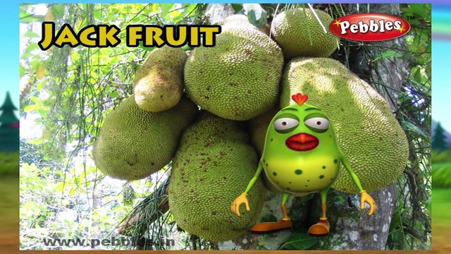Jackfruit | 3D animated nursery rhymes for kids with lyrics | popular Fruits rhyme for kids | Jackfruit song | Fruits songs | Funny rhymes for kids | cartoon | 3D animation | Top rhymes of fruits for children