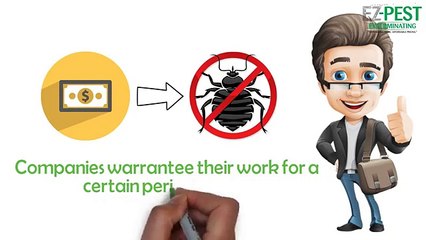 EZ Bed Bug Exterminator NYC