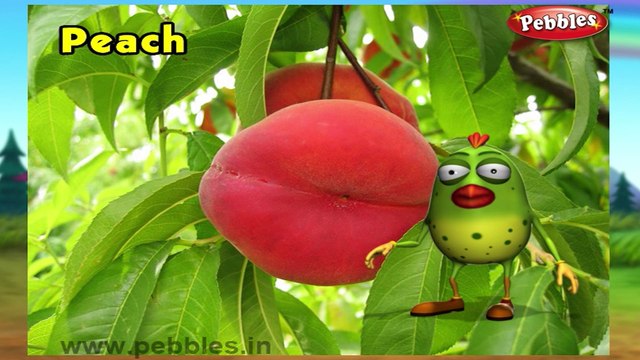 Peach | 3D animated nursery rhymes for kids with lyrics | popular Fruits rhyme for kids | Peach song | Fruits songs | Funny rhymes for kids | cartoon | 3D animation | Top rhymes of fruits for children