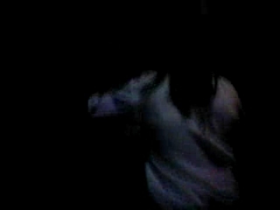 Vidéo-0004