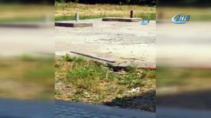 Bursa'da okul bahçesinde yılan alarmı