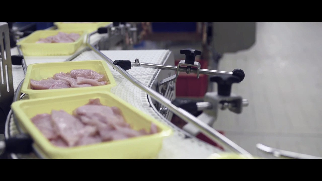 iAROSS // Chiens de garde- Clip Officiel