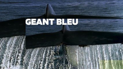Science Grand Format : la planète des géants - Mercredi 14 Juin à 20h50 sur France 5