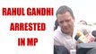 MP Farmers protest: Congress leader Rahul Gandhi arrested | Oneindia news