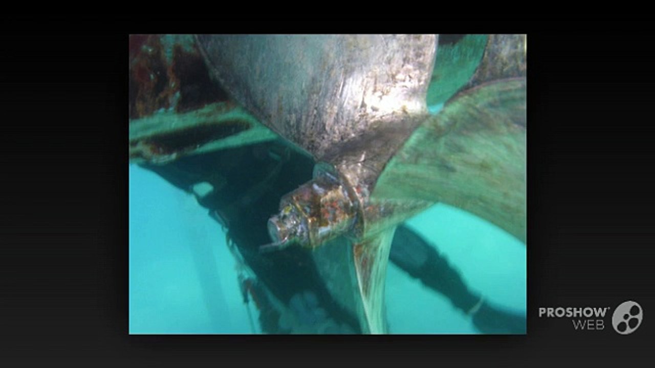 Barnacle Busters – Professional Boat Bottom Cleaning Service in Palm Beach