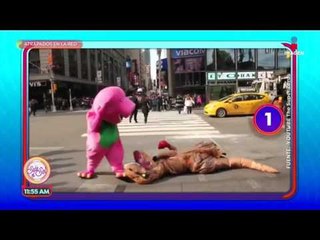 Duelo de botargas: Videos virales | Sale el Sol