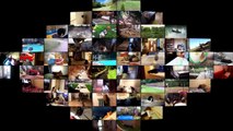 115.Animal Fails of the Week 1 April 2016 - Animal Fail Videos - Animal Fails Compilation 2016
