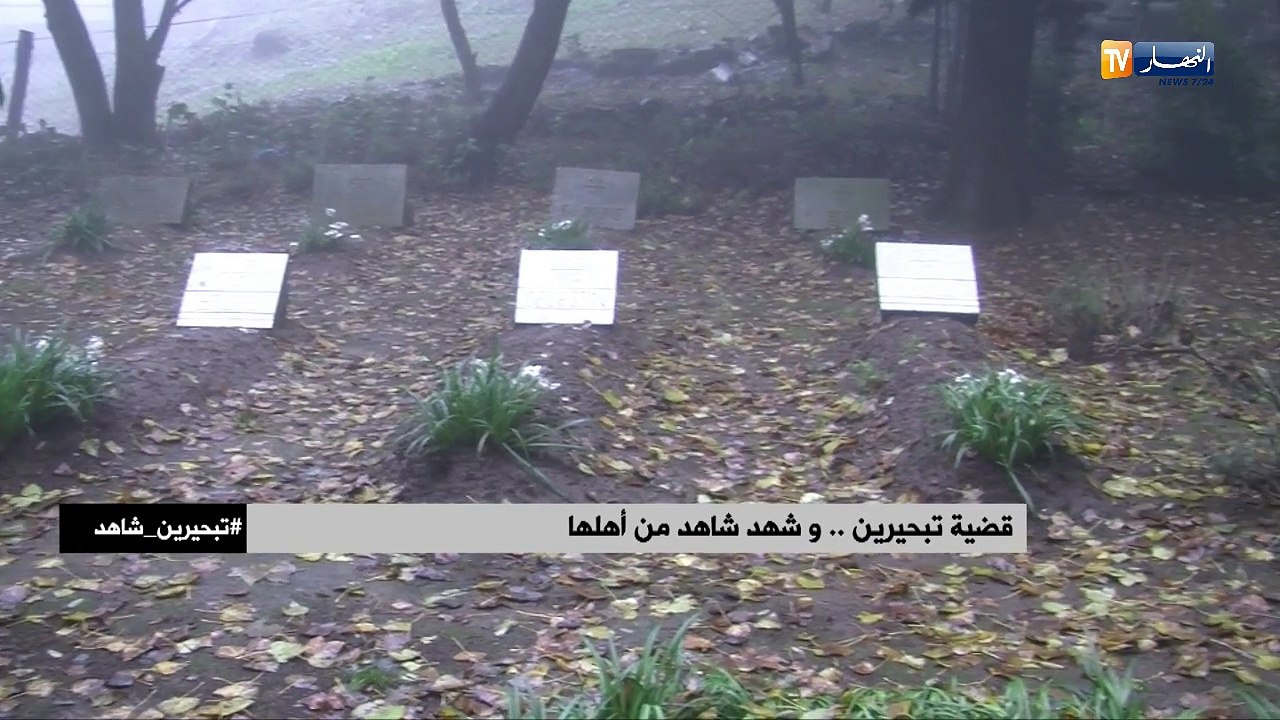 قضية تبريحين..وشهد شاهد من أهلها