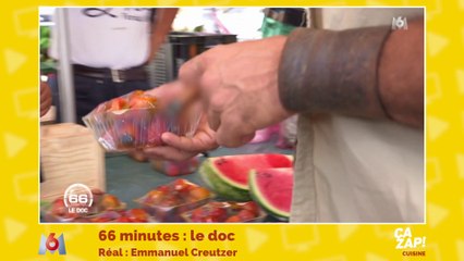 Découvrez le fruit du palmier !