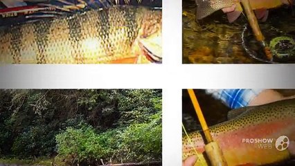 Chattahoochee River Fishing