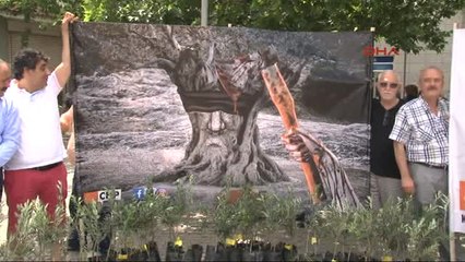 Izmir CHP Konak'tan Zeytin Ağacına Destek