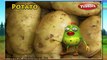Potato | 3D animated nursery rhymes for kids with lyrics  | popular Vegetables rhyme for kids | Potato song  | Vegetables songs | Funny rhymes for kids | cartoon  | 3D animation | Top rhymes of Vegetables for children