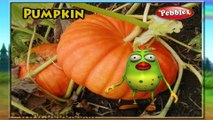 Pumpkin | 3D animated nursery rhymes for kids with lyrics  | popular Vegetables rhyme for kids | Pumpkin song  | Vegetables songs | Funny rhymes for kids | cartoon  | 3D animation | Top rhymes of Vegetables for children