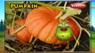 Pumpkin | 3D animated nursery rhymes for kids with lyrics  | popular Vegetables rhyme for kids | Pumpkin song  | Vegetables songs | Funny rhymes for kids | cartoon  | 3D animation | Top rhymes of Vegetables for children