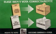 Elecciones constituyentes