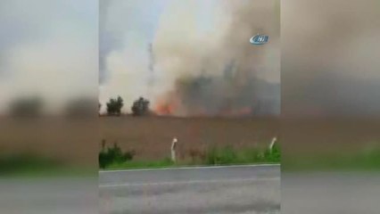 Hasat Edilmeye Hazır Ekin Tarlası Cayır Cayır Yandı