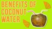 Benefits Of Drinking Coconut Water