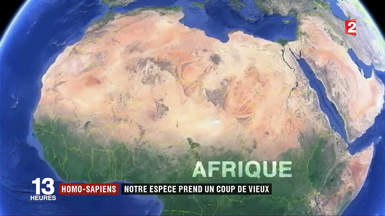 Homo sapiens : notre espèce prend un coup de vieux