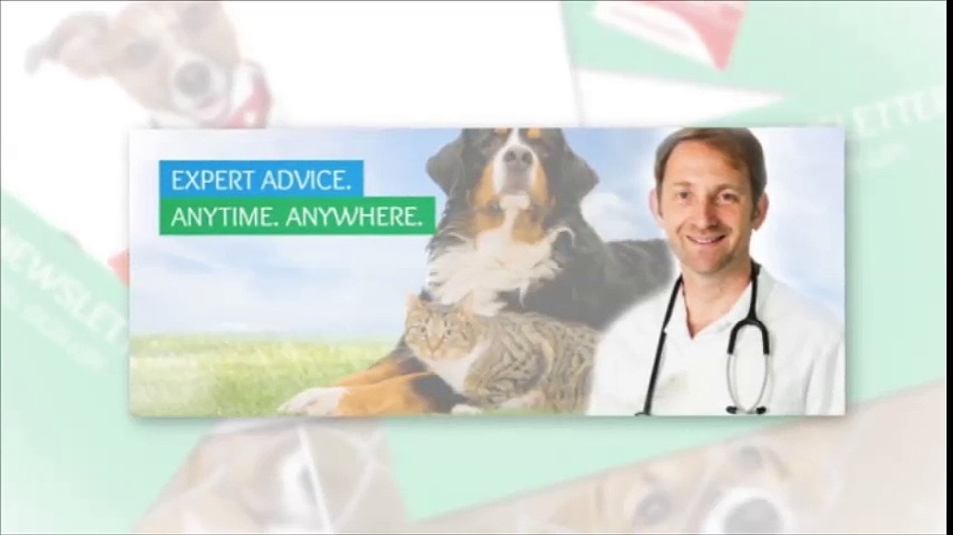 ⁣veterinary expert treatment