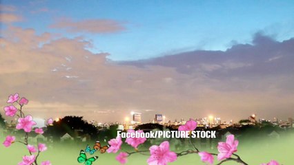 TimeLaps ขณะฟ้าแล๊บแพล๊บๆ Blue Lob in bangkok