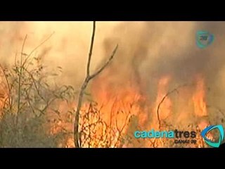 Yucatán ya suma 397 incendios en 2013; ya son 2 mil 300 hectáreas dañadas