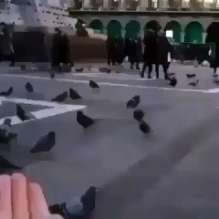 Greatest thug life in all of history of the internet