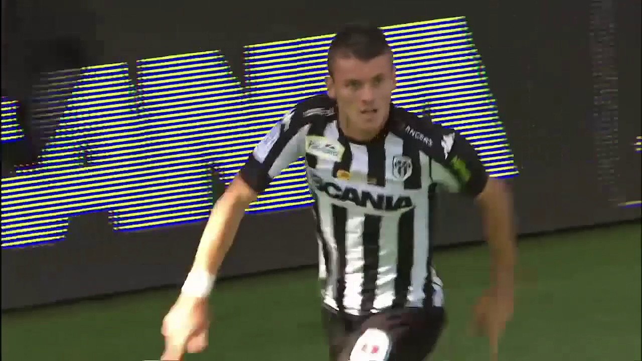 Top 10 des buts d'Angers SCO - 2016/2017