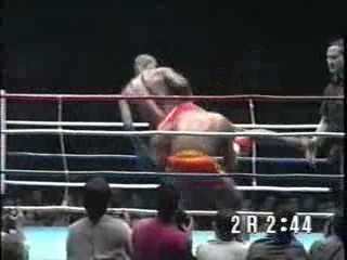 1993 : K-1 World Grand Prix Final