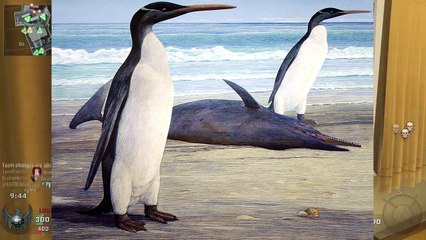 10 Facts About Penguins