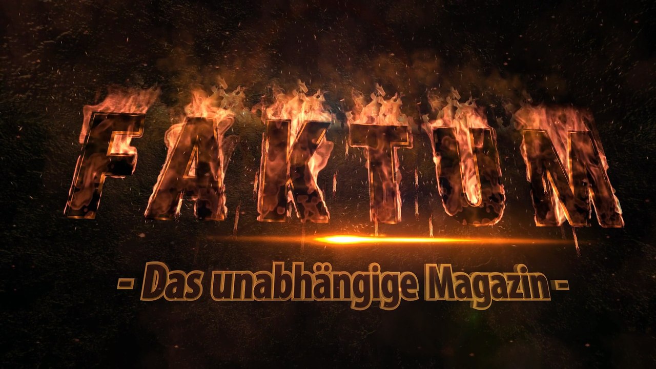 Gesine Agena und die Frauen der AfD