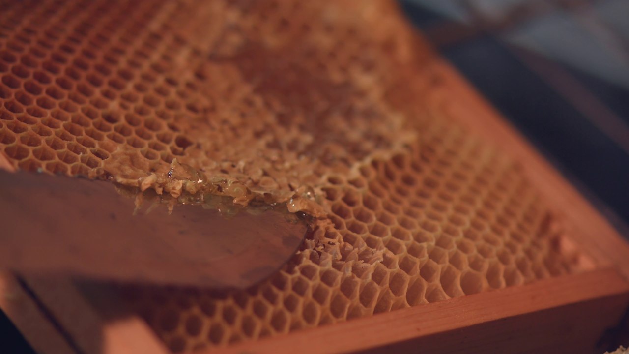 Vivez l'Esprit parc national dans les Ecrins !