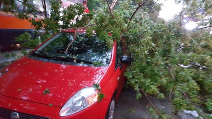 Başkent'te Sağanak Yağış Kazaları Beraberinde Getirdi: 2 Ölü, 12 Yaralı